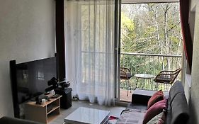 Chambre D'Hote Au Parc Des Thibaudieres
