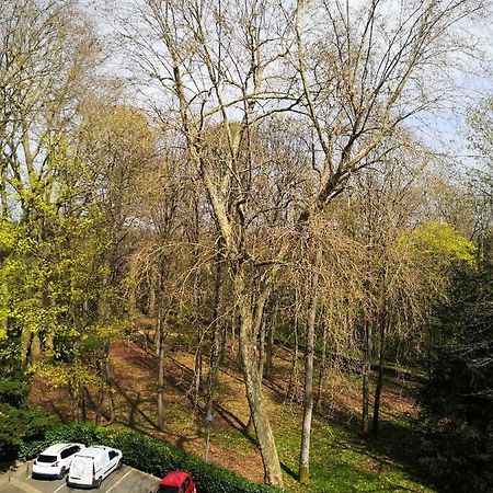 Chambre D'Hote Au Parc Des Thibaudieres Boussy-Saint-Antoine Exterior foto