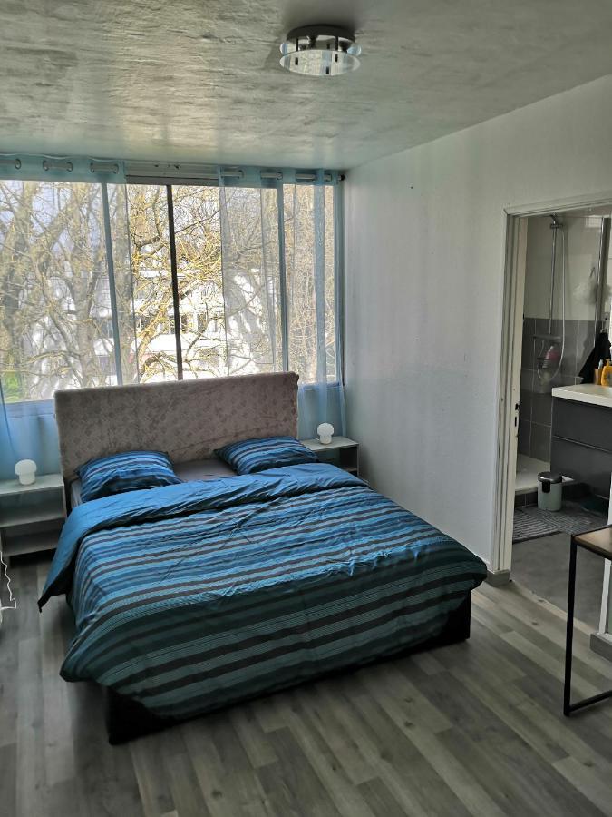 Chambre D'Hote Au Parc Des Thibaudieres Boussy-Saint-Antoine Exterior foto