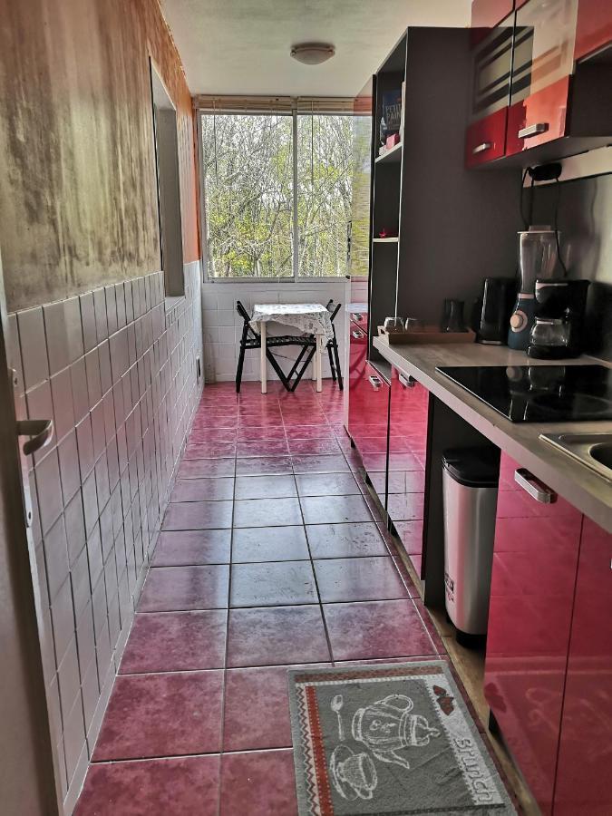 Chambre D'Hote Au Parc Des Thibaudieres Boussy-Saint-Antoine Exterior foto